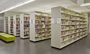 Library Rack